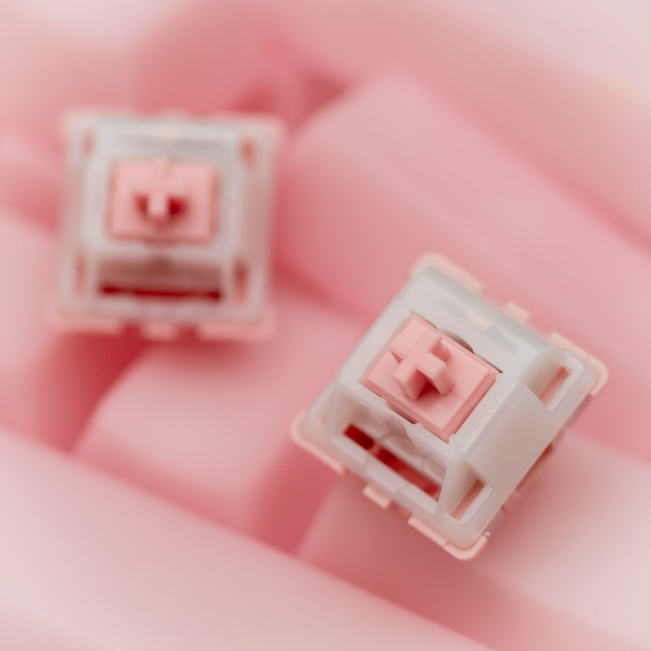 “Ms. Piggy” ALS Linear Switches