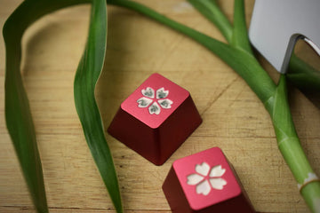 HIBI/RAMA/Keylabs Keycaps